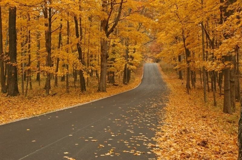 Brown County State Park